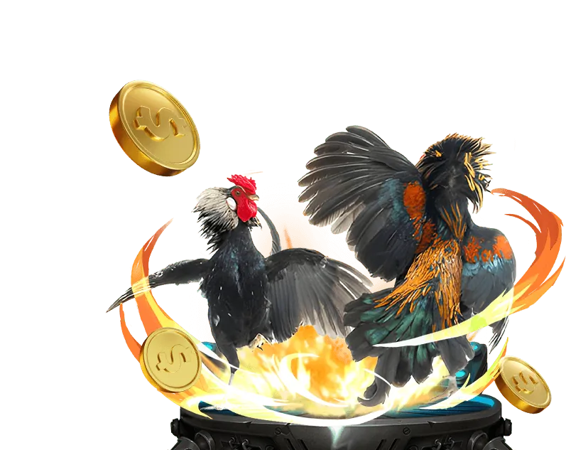 Tổng quan nền tảng Sunwin Web